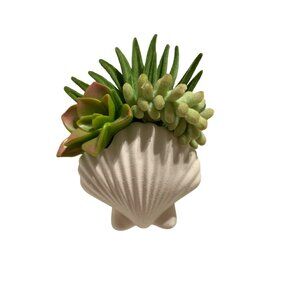 Bath &‎ Body Works Wallflowers Plug-In Shell Succulent Air Freshener